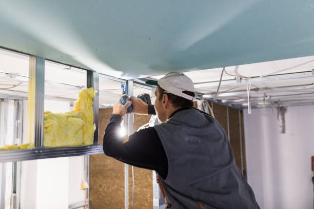 Eco-Friendly or Green Insulation Solutions in River Falls, WI